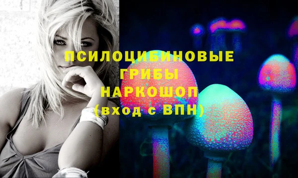 экстази Каменногорск