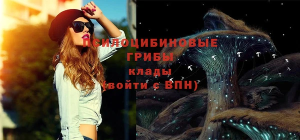 кокаин премиум Каменка