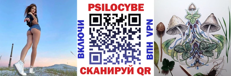 Купить закладки  Дрезна  Галлюциногенные грибы Psilocybine cubensis 