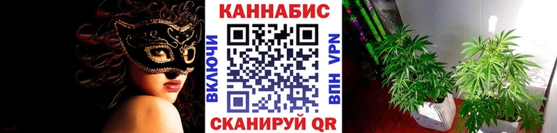 Купить закладки  Дрезна  Шишки марихуана THC 21% 